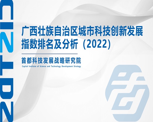 搞老肥屄【成果发布】广西壮族自治区城市科技创新发展指数排名及分析（2022）